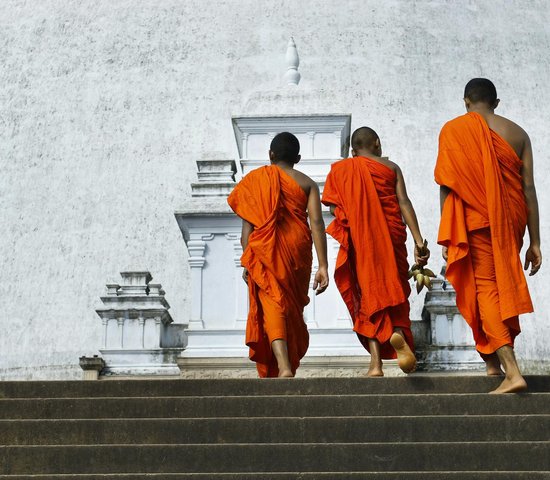 Moines dans le parc historique d'Anuradhapura
