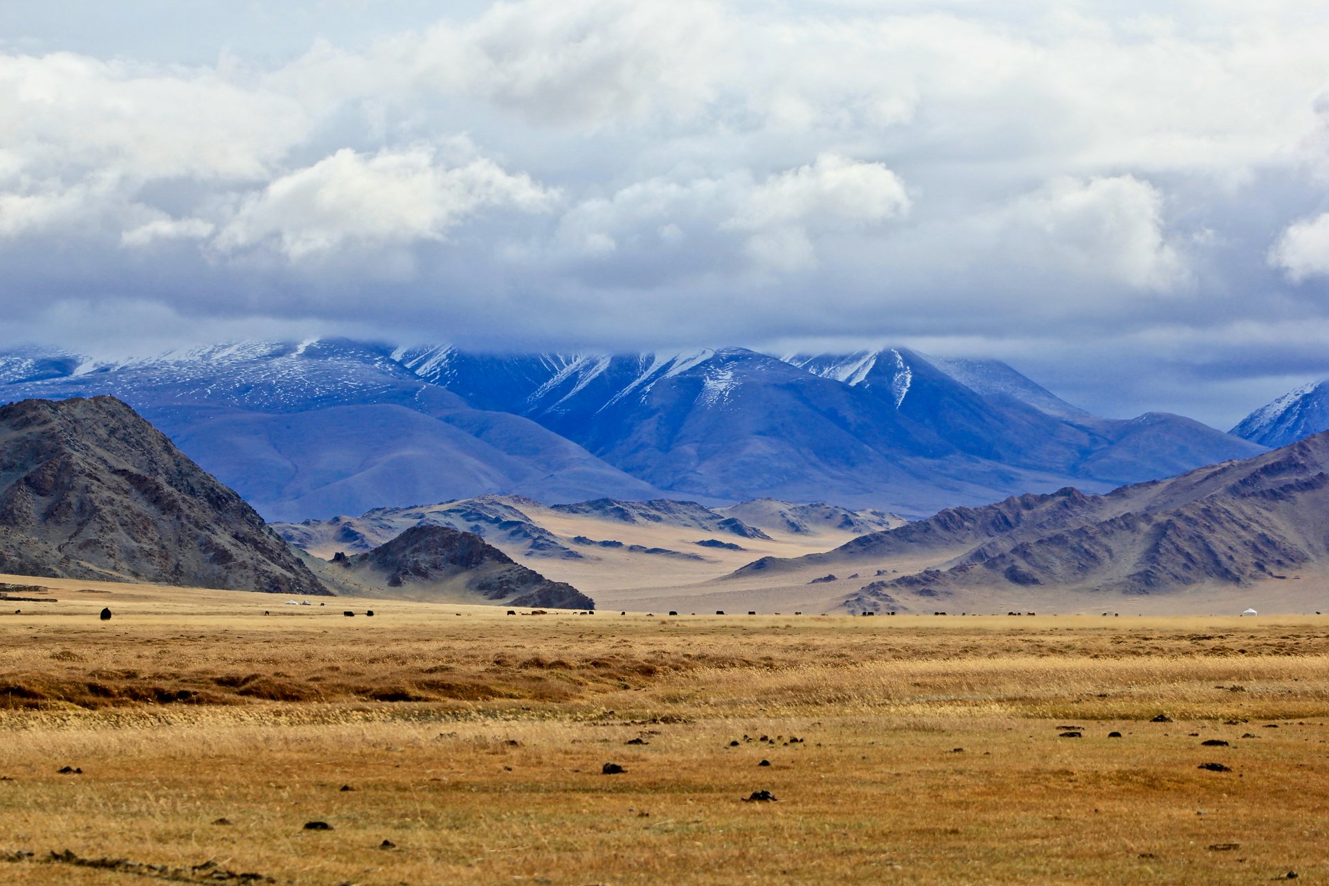 Montagnes Altai, Mongolie
