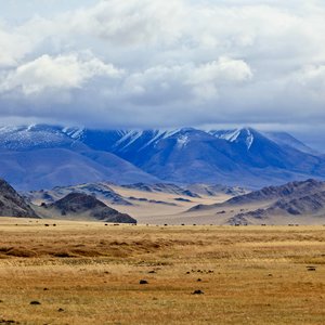 Montagnes Altai, Mongolie