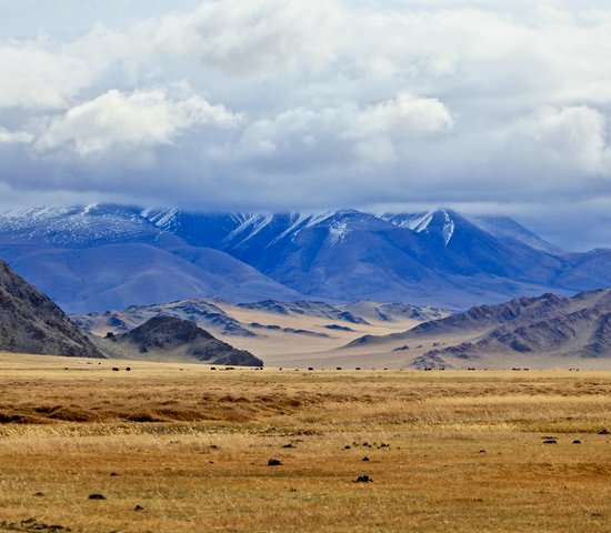 Montagnes Altai, Mongolie