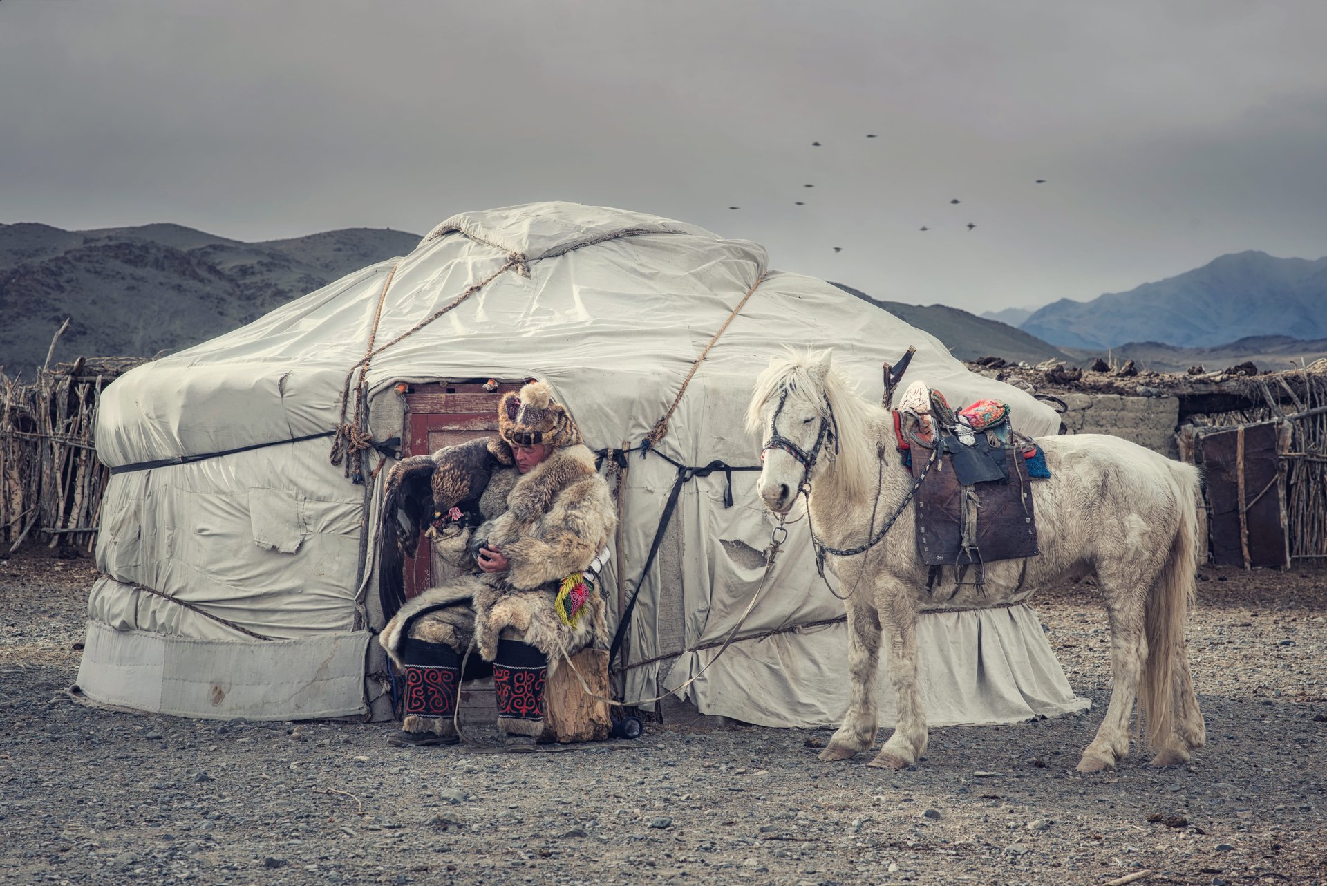 La vie nomade en Mongolie - TraceDirecte