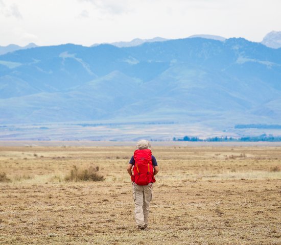 Randonneur dans le désert de Gobi, Mongolie