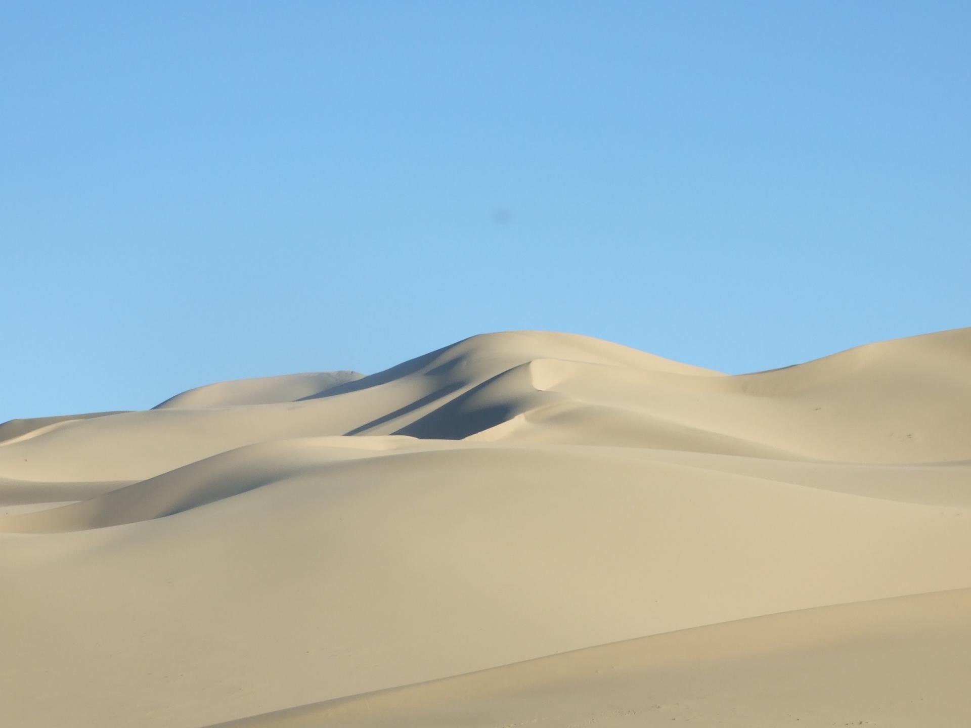 mongolie gobi
