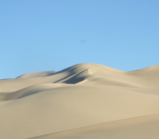 mongolie gobi