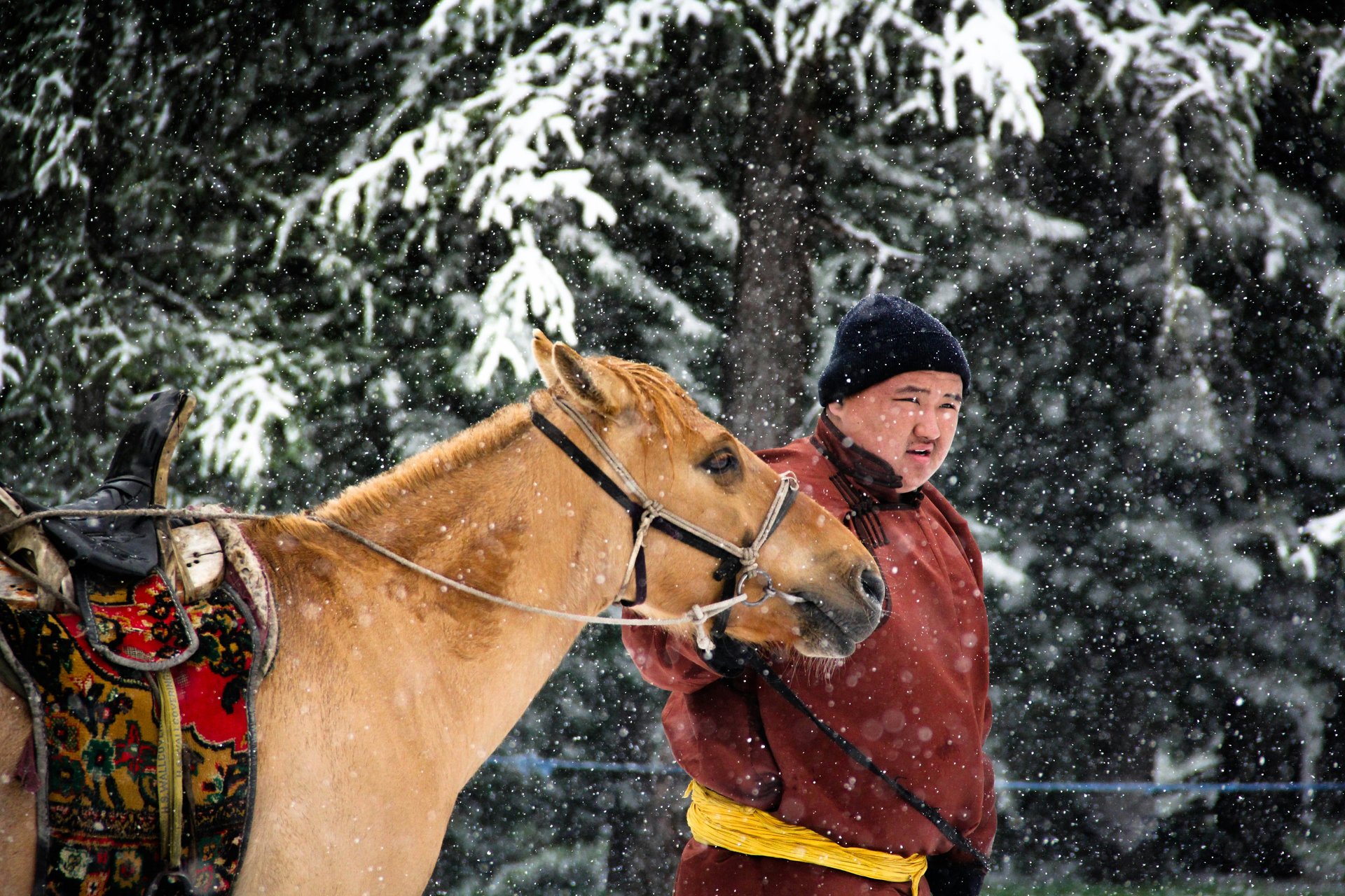 Un homme tient un cheval sous la neige à Ovorhangay en Mongolie