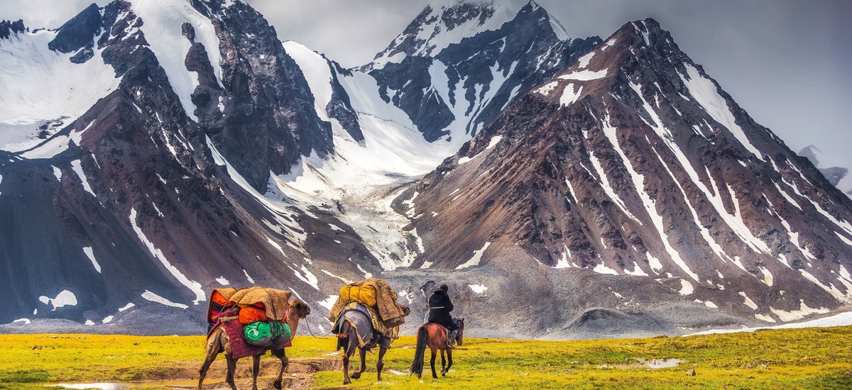 Paysages de chevaux devant les montagnes en Mongolie