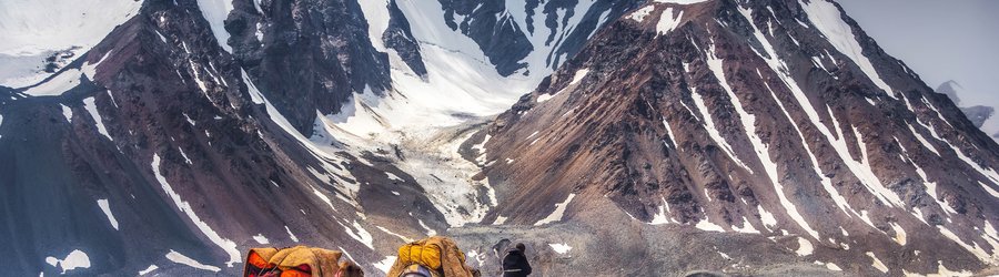 Paysages de chevaux devant les montagnes en Mongolie