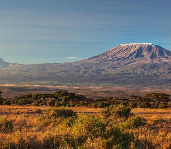 Mont Kilimanjaro   Tanzanie