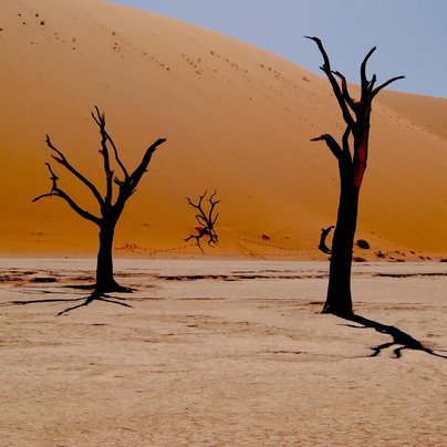 namibie dead vlei