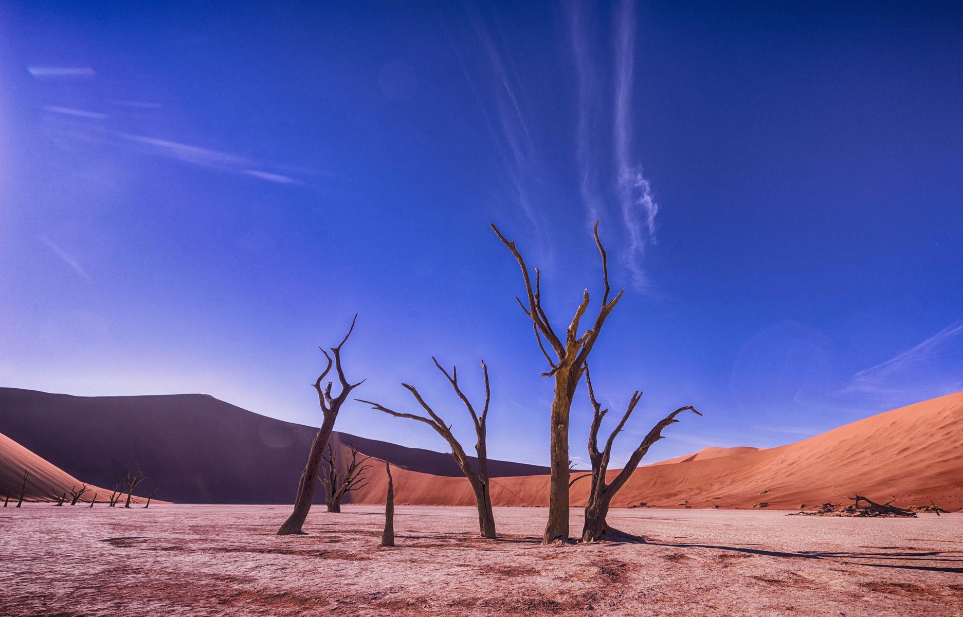 namibie deser dead vlei