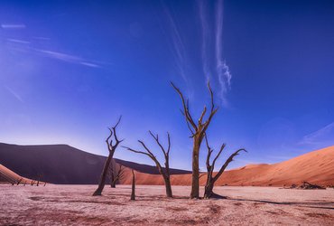 namibie deser dead vlei