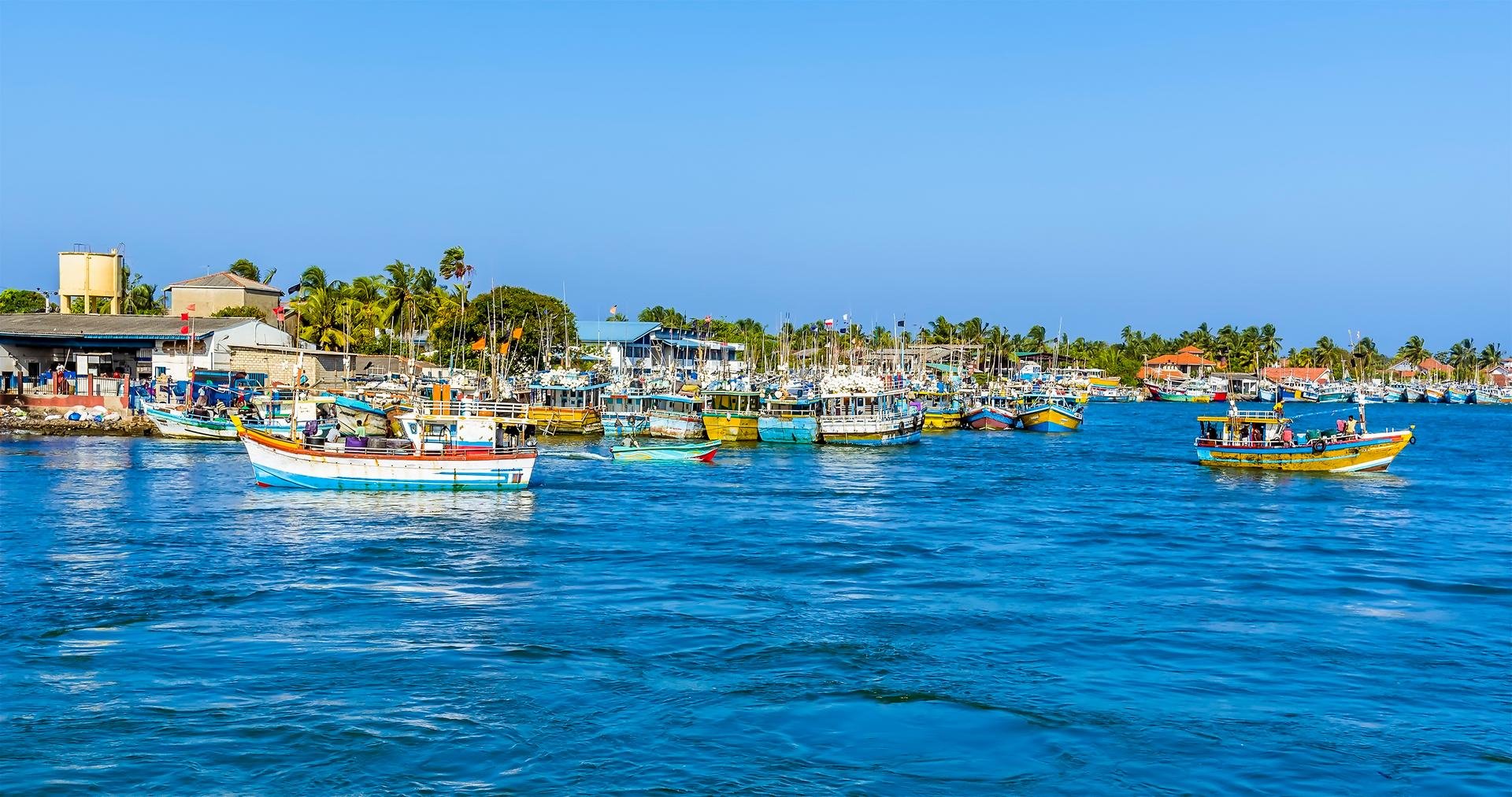 Negombo   Sri Lanka