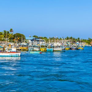 Negombo   Sri Lanka