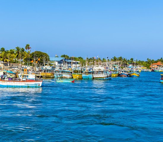 Negombo   Sri Lanka