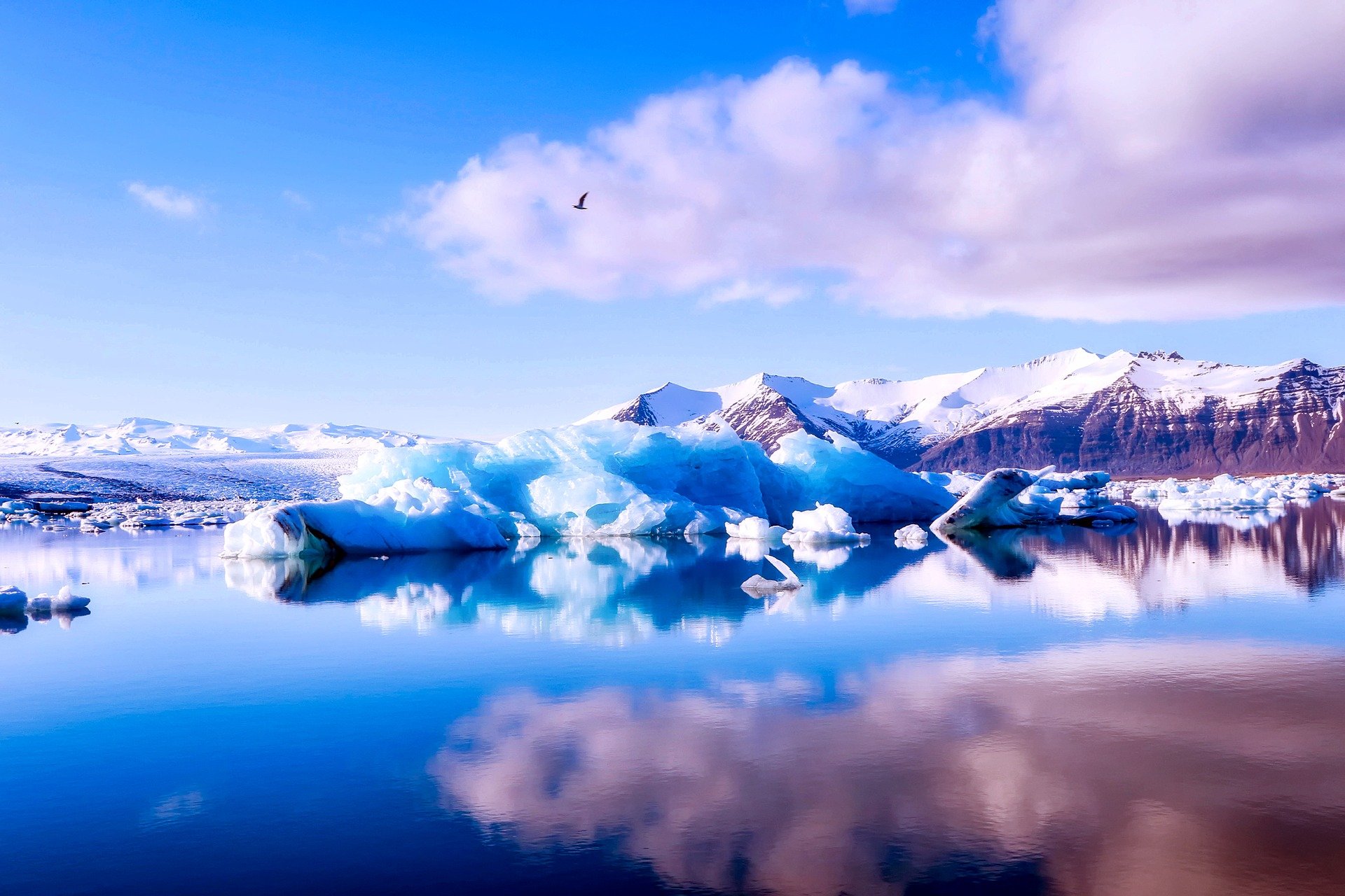 Noces Islande