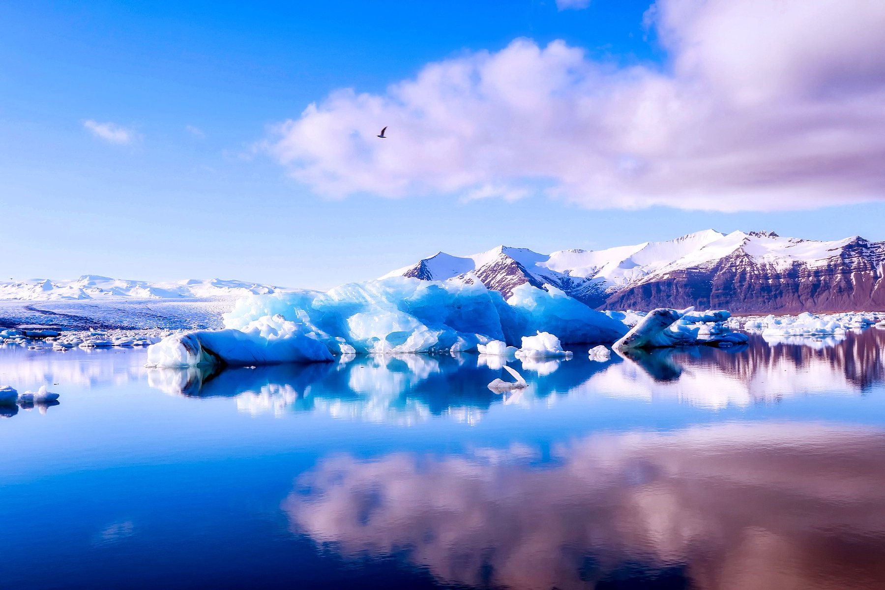 Noces Islande