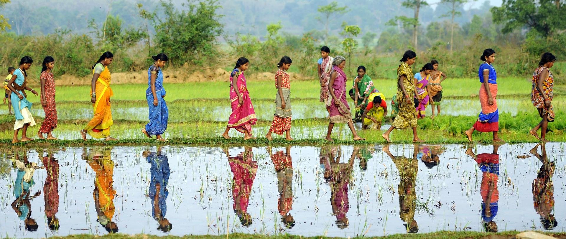 Odisha