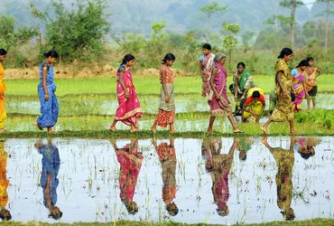 Odisha