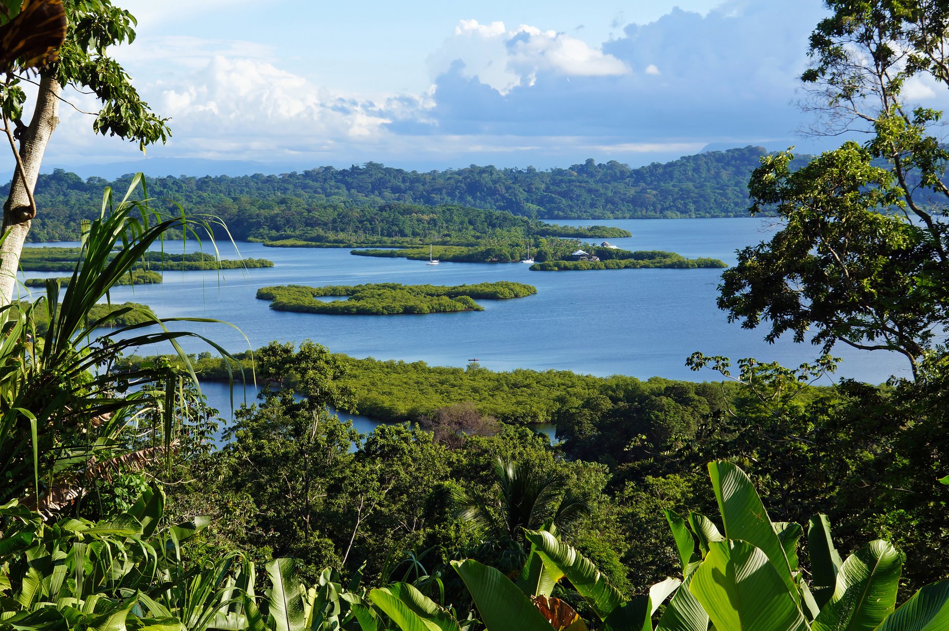 Archipel de Bocas del Toro, Caraïbes, Panama