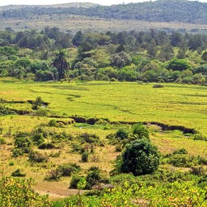 Parc national Arusha   Tanzanie