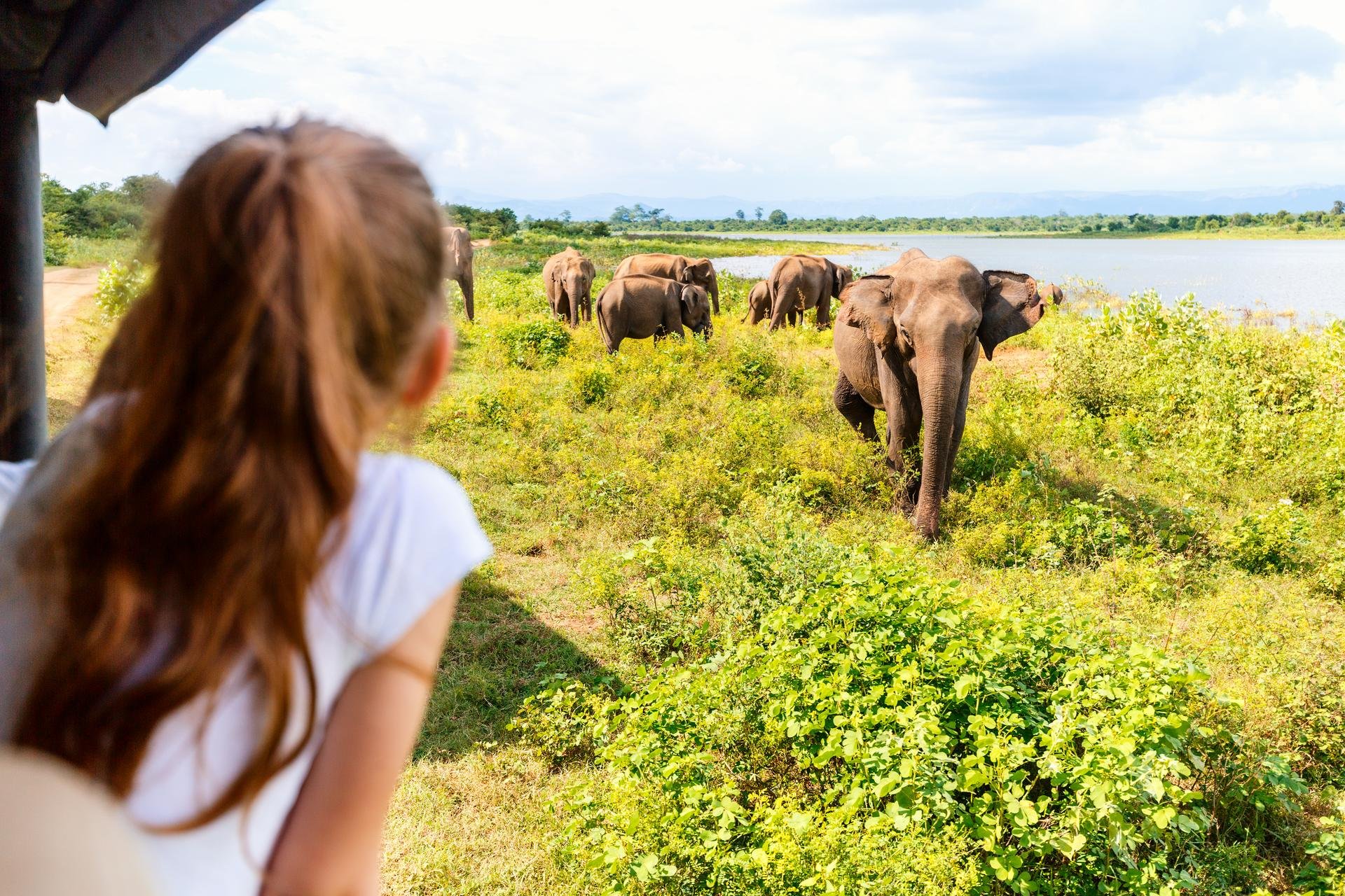 Parc national de Yala