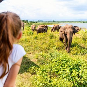 Parc national de Yala