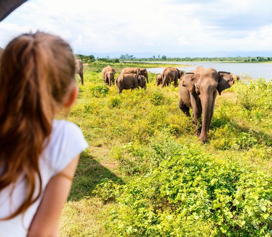 Parc national de Yala