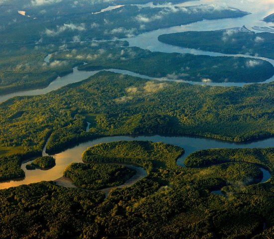 Parc national du Corcovado   Costa Rica