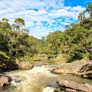 Parc national ranomafana