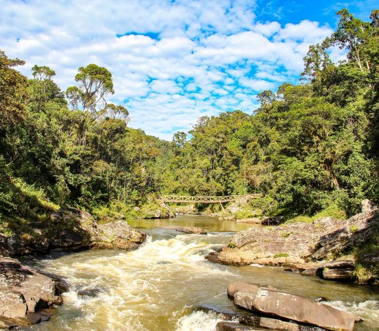 Parc national ranomafana