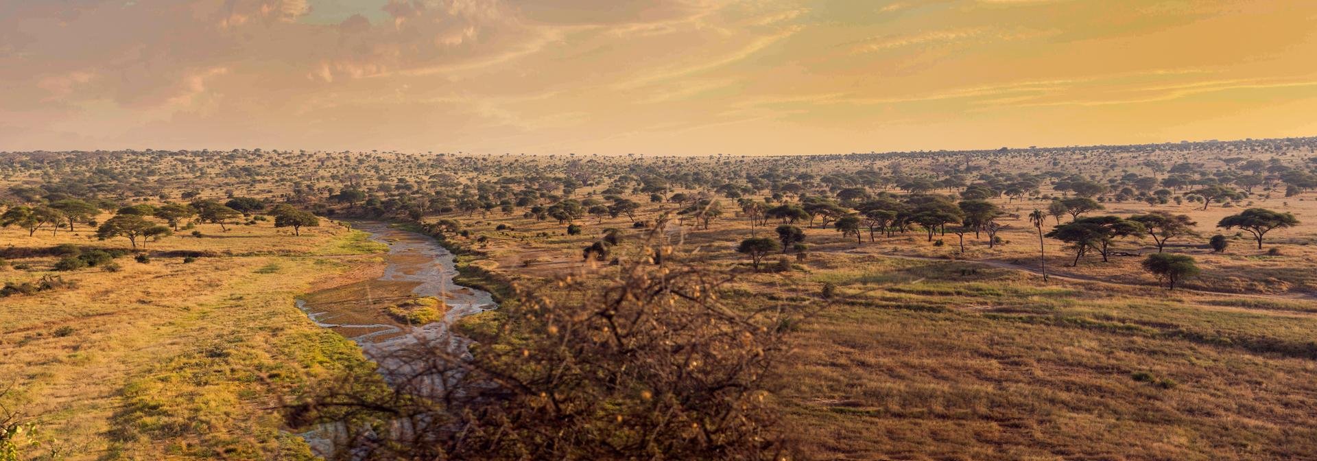 Parc national Tarangire