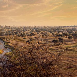 Parc national Tarangire