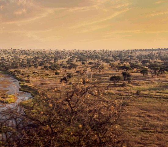 Parc national Tarangire