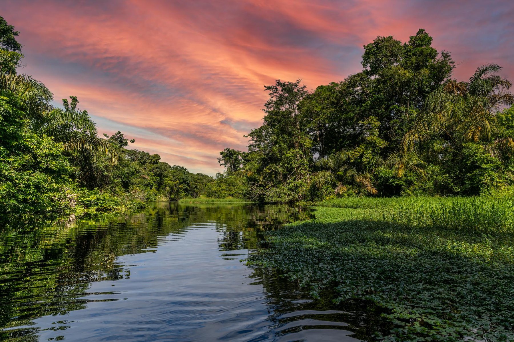 Parc national Tortuguero Costa Rica