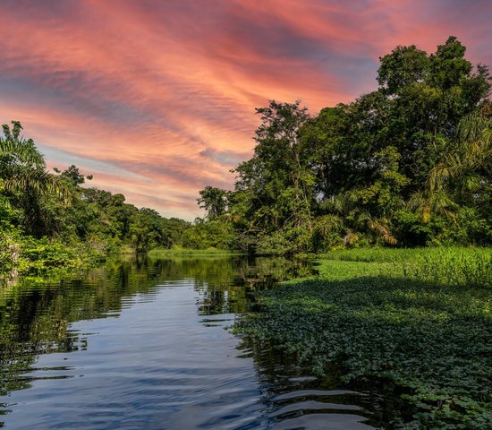 Parc national Tortuguero Costa Rica