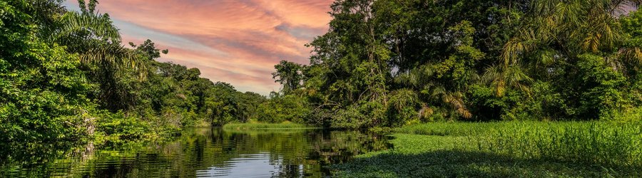 Parc national Tortuguero Costa Rica