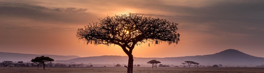 Paysage Serengeti Tanzanie