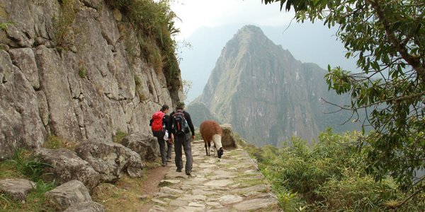 perou chemin inca trek