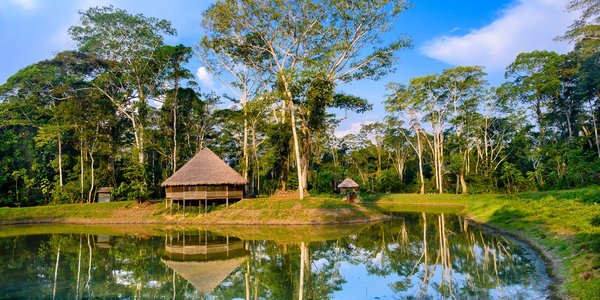 perou puerto maldonado amazonie