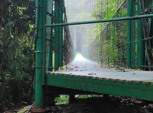 Souvenir du voyage de Caroline, Costa Rica