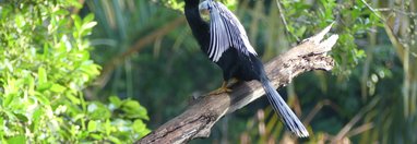 Souvenir du voyage de Caroline, Costa Rica