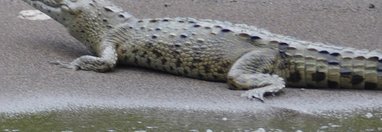 Souvenir du voyage de Caroline, Costa Rica