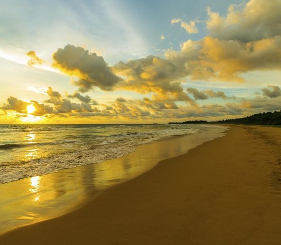 Plage Bentota