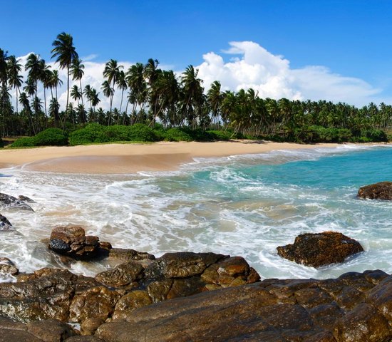 Plage de Tangalla   Sri Lanka