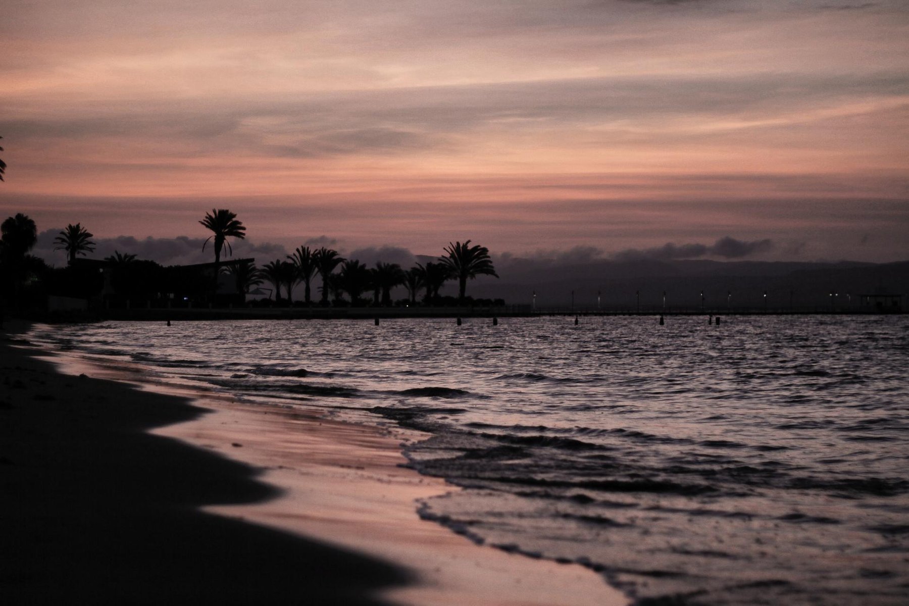 Plage Paracas Perou