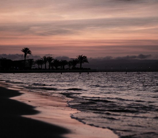 Plage Paracas Perou