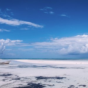 Plage Pingwe Tanzanie