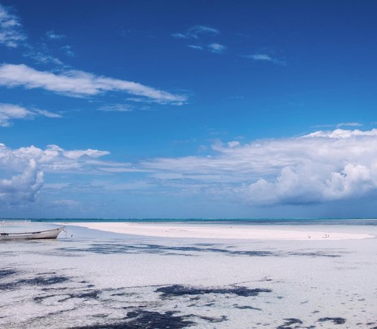 Plage Pingwe Tanzanie