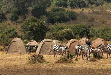 programme kenya camping safari kenya