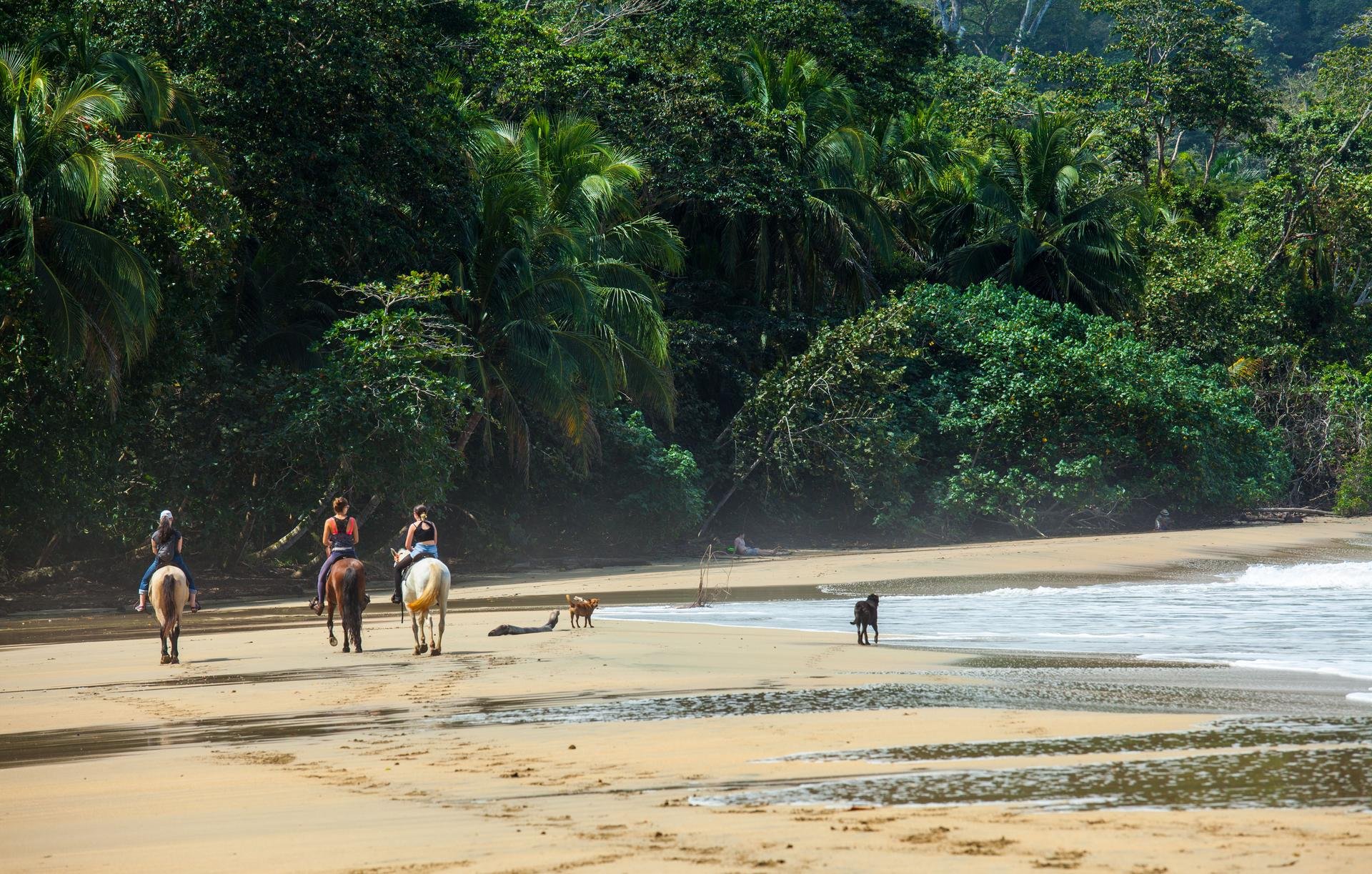 Punta Uva   Costa rica